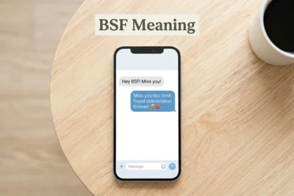 BSF Meaning