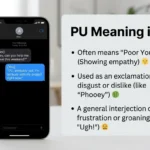 pu meaning in text