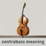 contrabass meaning