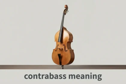 contrabass meaning