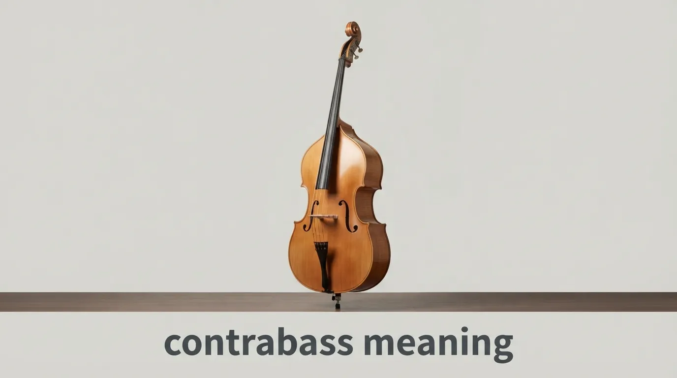 contrabass meaning