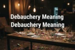Debauchery Meaning