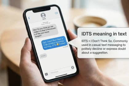 Idts Meaning in Text