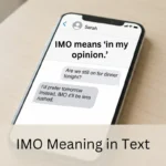 IMO Meaning in Text