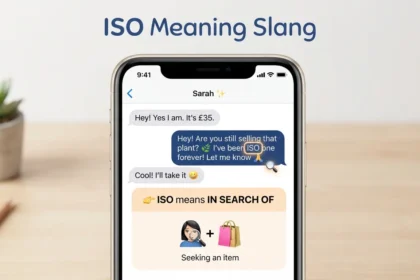 ISO Meaning Slang