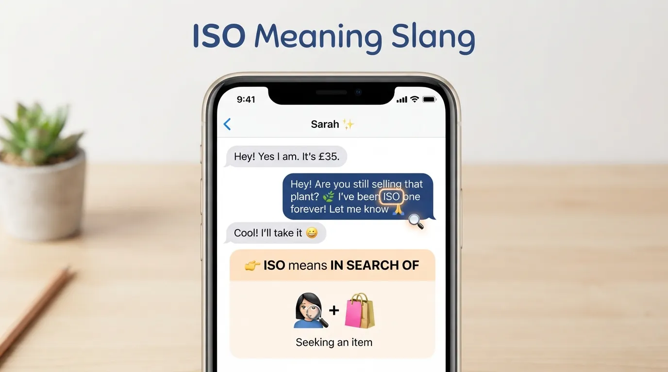 ISO Meaning Slang