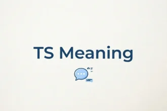 Ts meaning