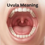 uvula meaning