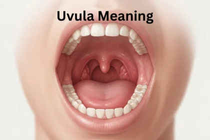 uvula meaning