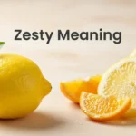 Zesty Meaning
