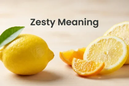 Zesty Meaning