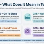 gts meaning in text