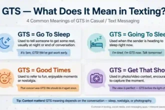 gts meaning in text