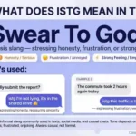 istg meaning in text