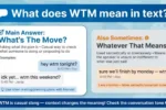 wtm meaning in text