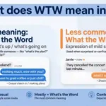 wtw-meaning-in-text