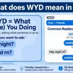 wyd meaning in text