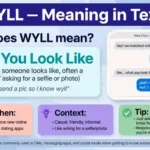 wyll meaning in text
