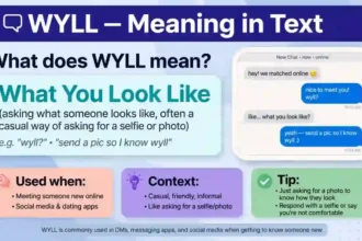 wyll meaning in text