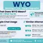 wyo meaning in text